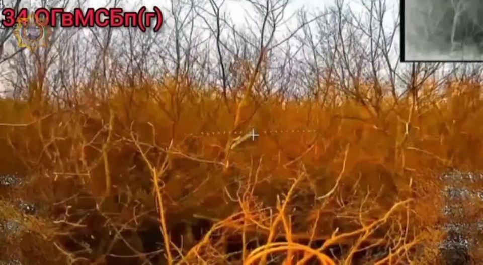 ���� ���������: ����������� ���������� ������� �� ���������� ���� 2�1 ���������