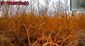 Апти Алаудинов: Уничтожение самоходной гаубицы на гусеничном ходу 2С1 «Гвоздика»