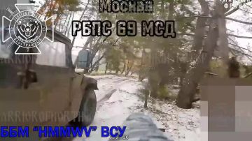 Кадры поражения украинских ББМ дронами Северян