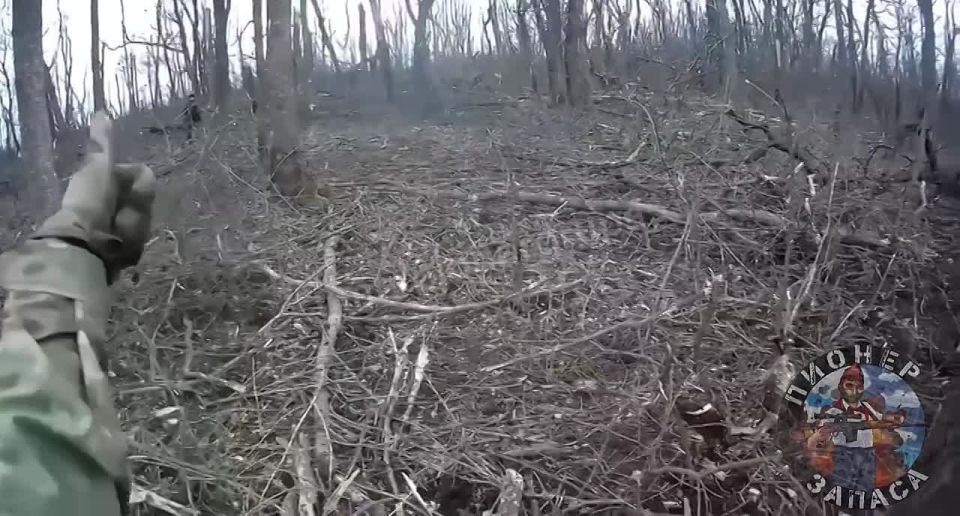 �������� ����� �� ��������� �� ������� �����������