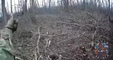 �������� ����� �� ��������� �� ������� �����������