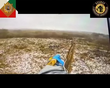 ���� ���������: ����������� ��������� ������������� ������� "�����" � "������"