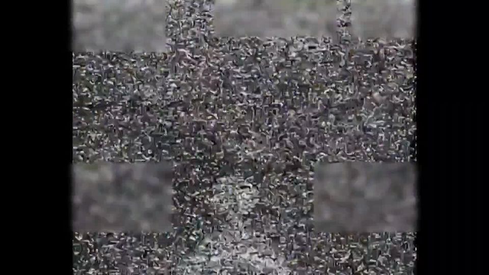 �������� ����������� ������ "�������" ������������ ���������� ������� �������