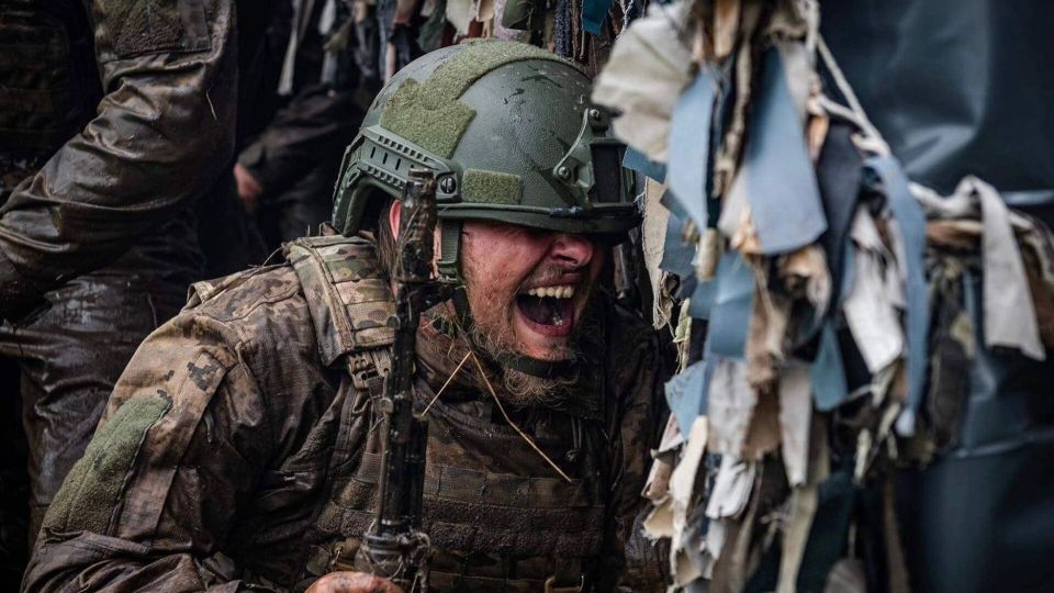 ���� "������������" ��������: ����� � � �������� � �������� � �������������� ������ ���