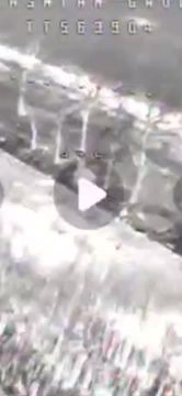 ���� ���������: ����������� ����� ���� ����������