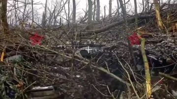 ��� ������: ������� ����������� ����������� �.�. ��������