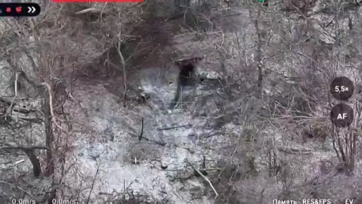 ������� - ���� �� ����!. ������ ������ ���������� ������ "�������" �� 2 ������ 2026 ���� � �������