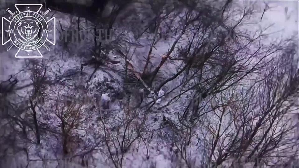 ����� ������ ����������� �������� ������ �������� ����������� ������� �������