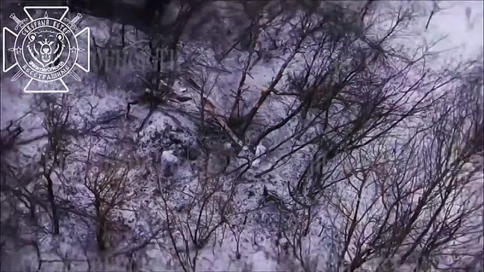 ����������� �� ����� �������: ����� ������������ ����������� ����� ������ �������� ����� �������� ����� � ������� �������