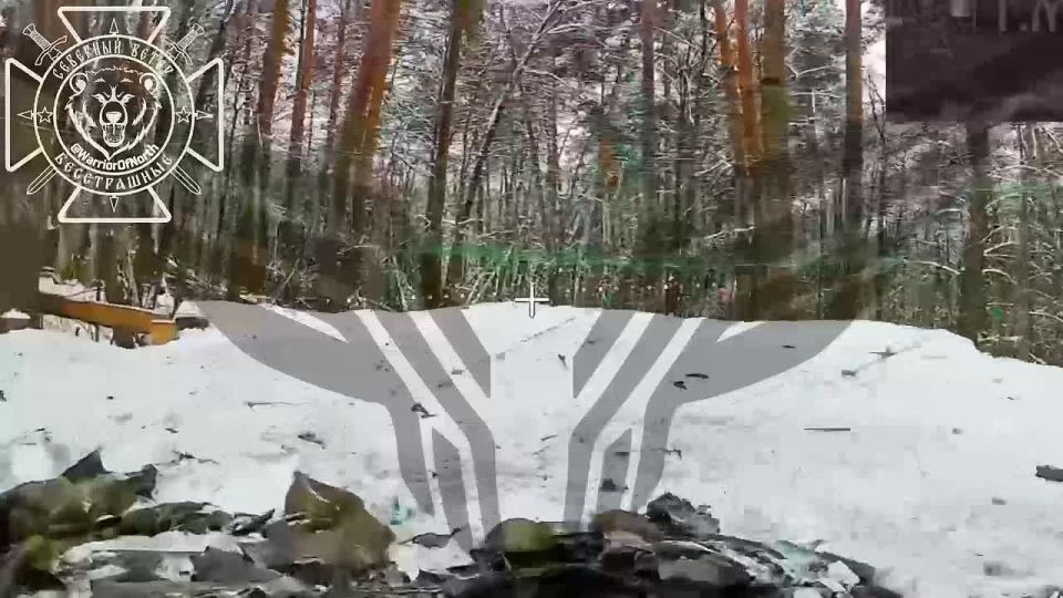 ��������� �������: �������� "�������". ��������� �������� ������ ������ ������ �� ����� ����������� ������������� ���� �� ��. �� ����� ����������� ����� ����, ���������� � ������� ����� ��� � ������� �������