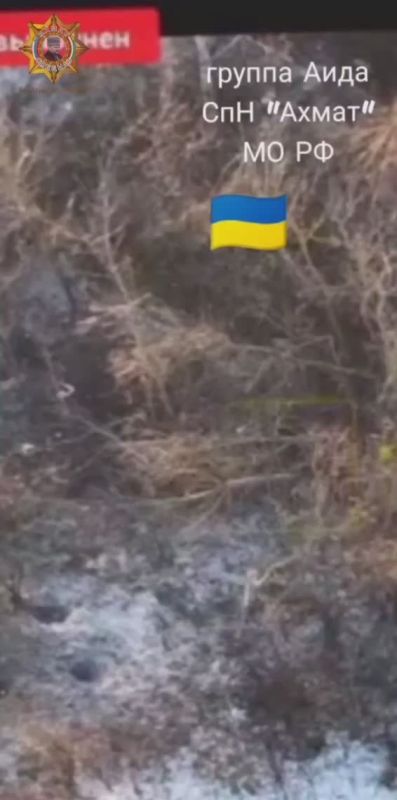 ���� ���������: ���������� �� ����������: ����������� ����� ���� ����������