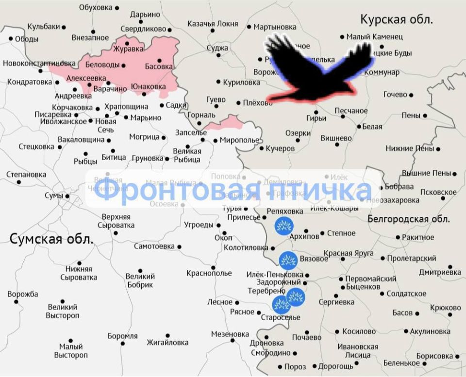 Сумское направление. Успехи ВС РФ