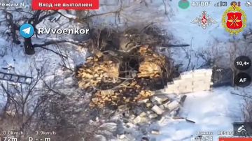 ����� ���: ������ 34-� ������� ���������� ���������� �� ������� ������