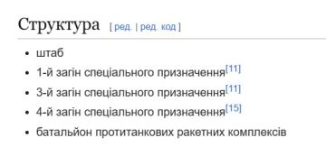 ВСУ расширяют штаты штурмовых подразделений: Что это? Излишняя вера в свои силы или подготовка к новому контрнаступу?