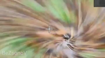 Даниил Безсонов: Боевая работа операторов БПЛА группировки войск «Север» по уничтожению боевой техники и личного состава ВСУ на Сумском направлении