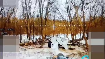 ����������� ���������� ������� �-20 � ������ ����������� ������� �������