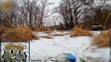 ���� ���������: ����������� ����� ���� (������) ����������