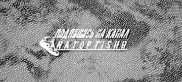 Евгений Лисицын: Удар БПЛА по Сумскому направлению: уничтожен штаб операторов дронов ВСУ
