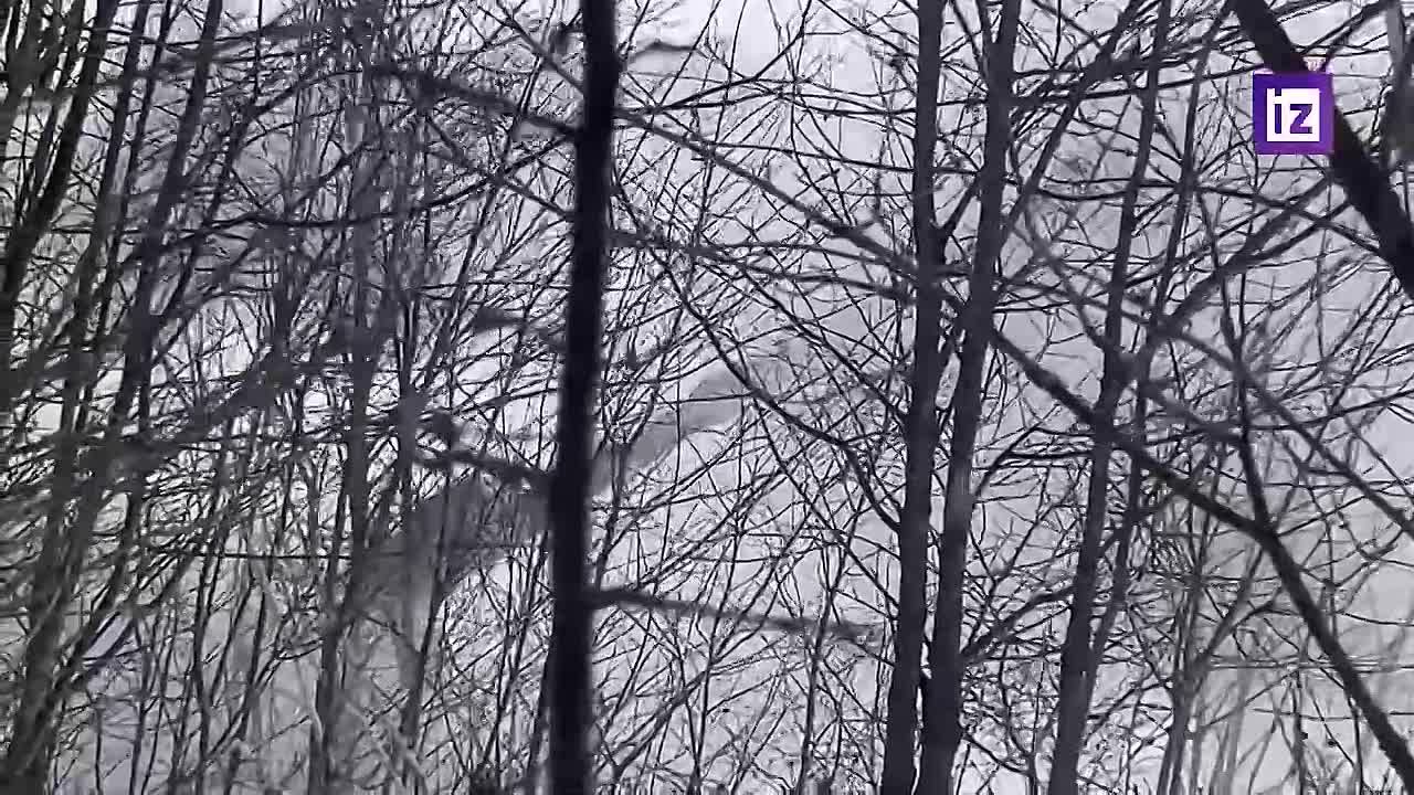 ВС РФ уничтожили более 110 объектов ВСУ за неделю в Сумской и Харьковской областях, сообщили в Минобороны России