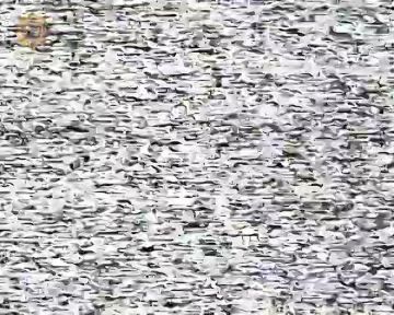 ���� ���������: ����������� ����� ���� ����������