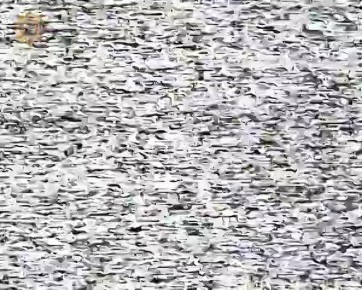 ���� ���������: ����������� ����� ���� ����������