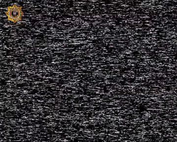 ���� ���������: ���������� ���������������� ������ ���������� ���� ����������