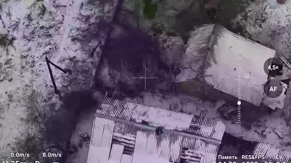 ���� ���������: ����������� ������ ���������� ���� ����������