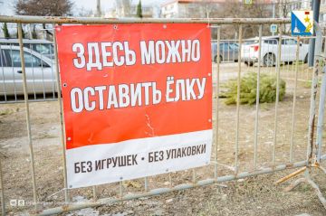 � ����������� ������� 10 �������� ��� ����� ���� �� �����������