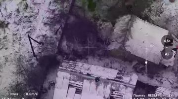 ���� ���������: ����������� ������ ���������� ���� ����������