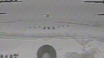 �� �� ������������ ����� �� ����������� ������ ��������� ������� �������