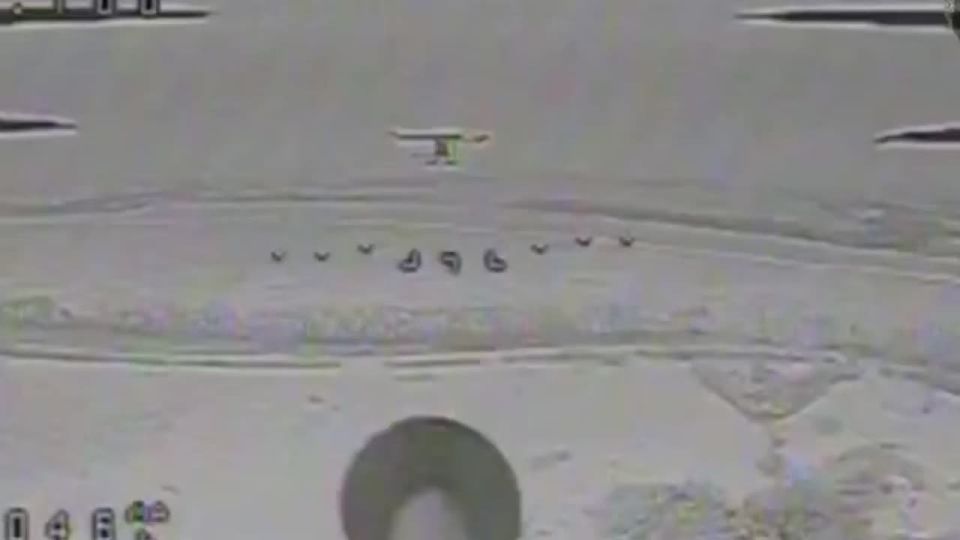 �� �� ������������ ����� �� ����������� ������ ��������� ������� �������