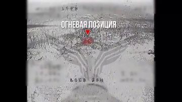 ������� �����������. �113 ��������-����� ���������� �������