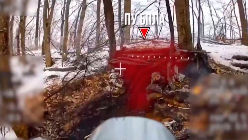 ������ ��������� ��������� ��������� � �������� ��� �� ������� �����������