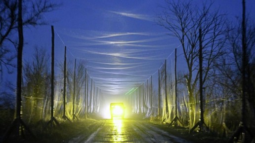 �� ���� ������� ������� ������������� ��������� �������� � �����������������