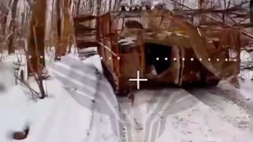 ��������� ������ ���������������� �113 �� ������� �����������