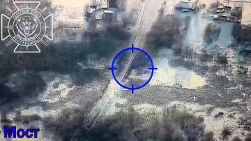 Два майора: #Сводка на утро 22 января 2026 года