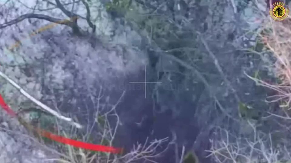 ������ ���� ��� ������ �� ��������� � �������� ���