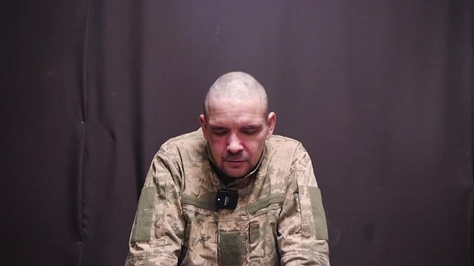 ������� ���������: �������� ���� ����������� ������ �������������� ���