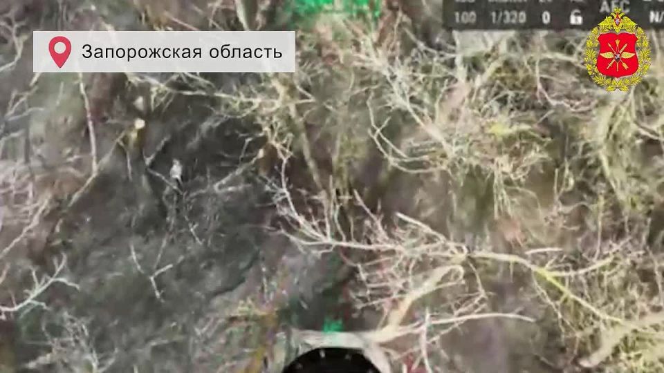 ���������� ������: ������ ������ �������������