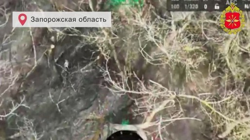 ���������� ������: ������ ������ �������������