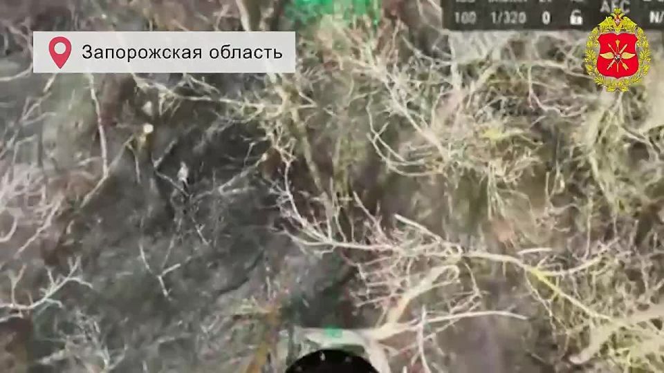 ������ ������ �������������