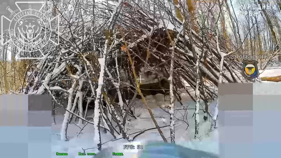 Владислав Шурыгин: В лесу Сумской области Северяне сожгли танк ВСУ