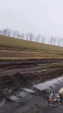 ������� ����� ��������� �� ������� �����������