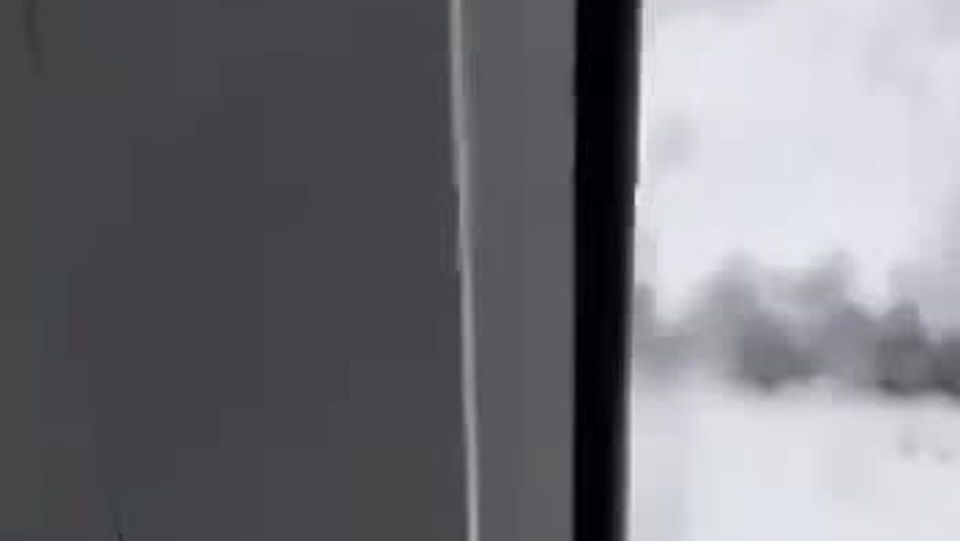 ����� ����� ����-��������� "������" �� ������� "���������" ��� � �. ������ ������� �������