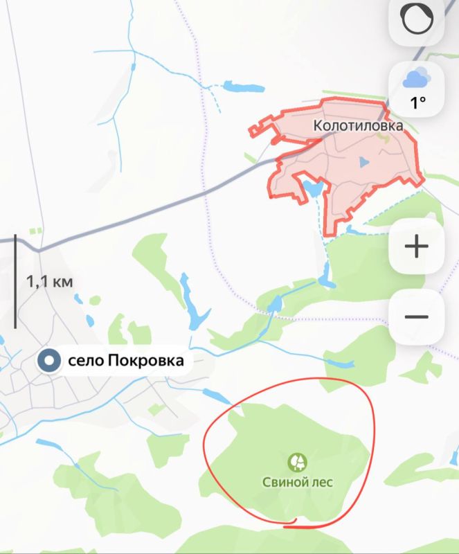 �� ����������� ������ ���� ������ ����� � ������������ ���� �������� � ������� �������, �������� ������� ������� �������: