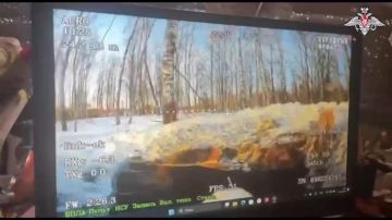 Российские войска освободили Харьковку в Сумской области и Криничное в Запорожской области