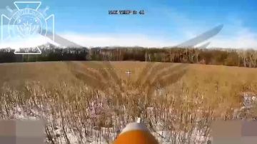 ��������� ������ ���������� ������ ��������������� ���������� ������ � ���������� � ���������� ������� �������