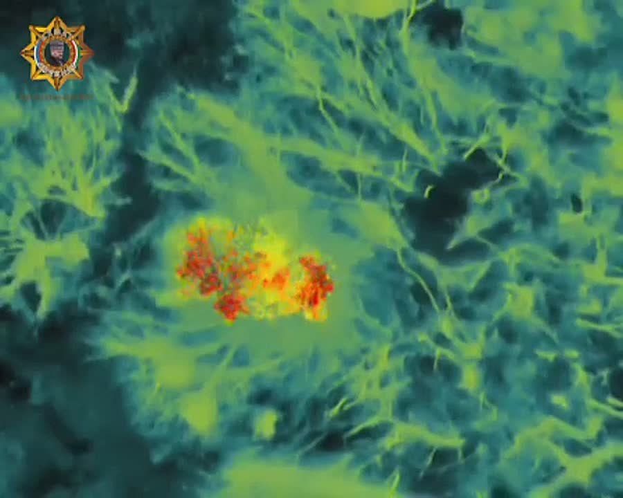 ���� ���������: ����������� ���������� � ��������� ����� ���� ����������