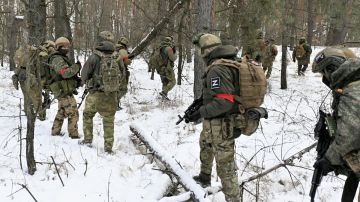 Фронтовая сводка за 25 февраля от канала "Дневник Десантника"