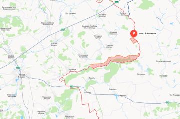 Министерство обороны России сообщает об освобождении населённых пунктов Бобылевка Сумской области и Веселянка Запорожской области